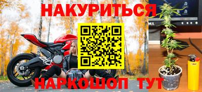 Альфа ПВП Гусев