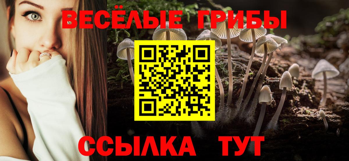 COCAIN  Alpha PVP СК кристаллы  NBOMe  Белая Калитва  Мефедрон кристаллы  Вход с VPN 